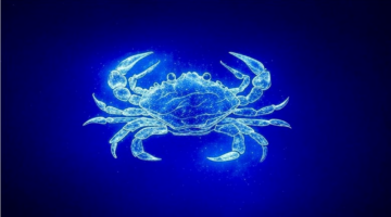 «لا تتمسك برأيك».. نصيحة الفلك لمواليد السرطان اليوم، مع تحركات جديدة في حياتهم، وفرص مهنية واعدة وأجواء عاطفية مستقرة.